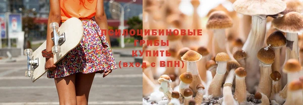 хмурый Алзамай
