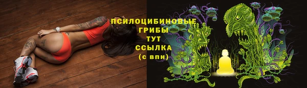 хмурый Алзамай