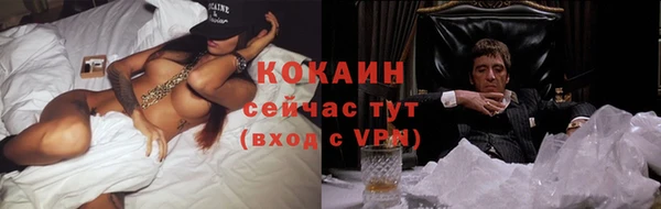 хмурый Алзамай