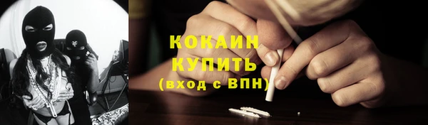 хмурый Алзамай