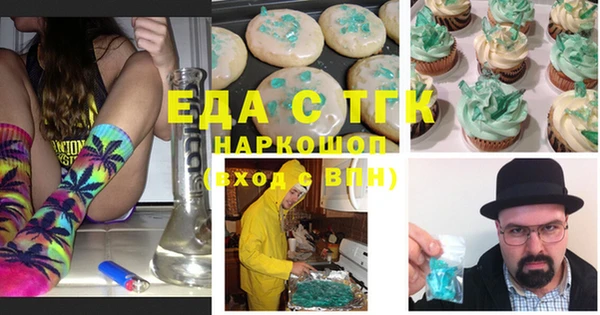 хмурый Алзамай