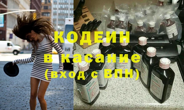 хмурый Алзамай