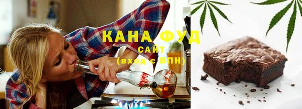 хмурый Алзамай